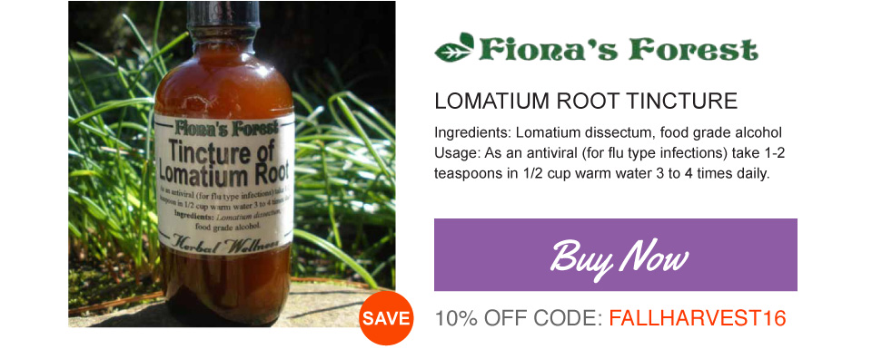Buy Lomatium Root Tincture