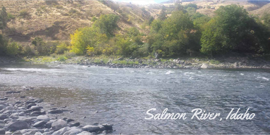 Salmon River, Idaho